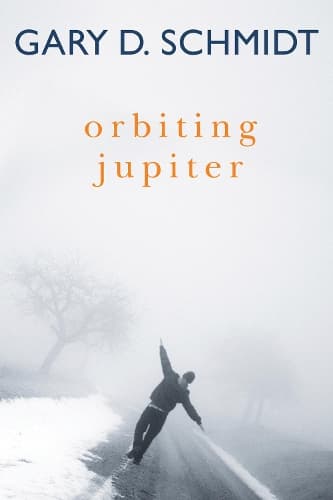 Cover of Orbiting Jupiter