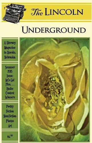 Cover of The Lincoln Underground