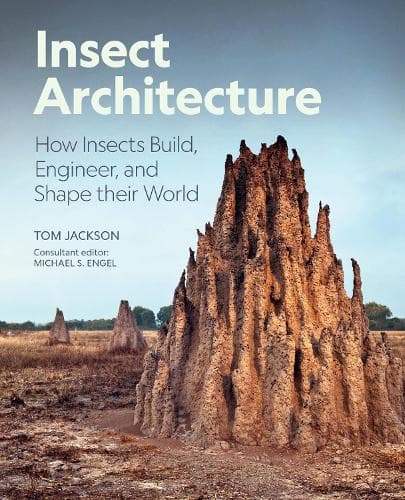 Cover of Insect Architecture: How Insects Build, Engineer, and Shape Their World