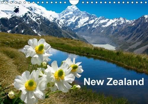 Cover of New Zealand 2017