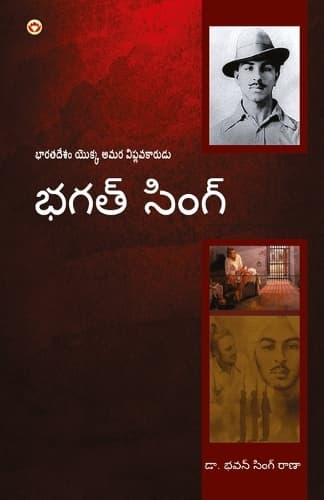 Cover of The Sluggish Fire German Version (Edition3)