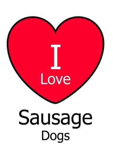 Cover of I Love Sausage Dogs