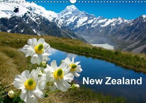 Cover of New Zealand 2017