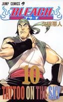 Cover of [Bleach 10]