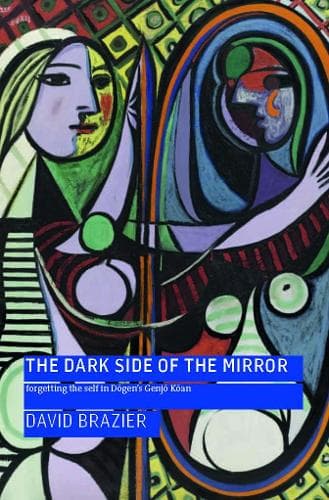 Cover of The Dark Side of the Mirror