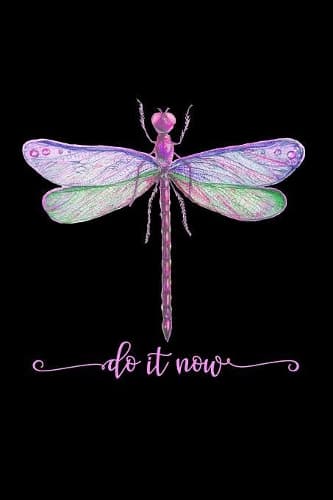 Cover of Do It Now