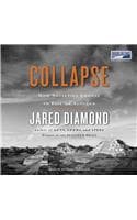 Cover of Collapse