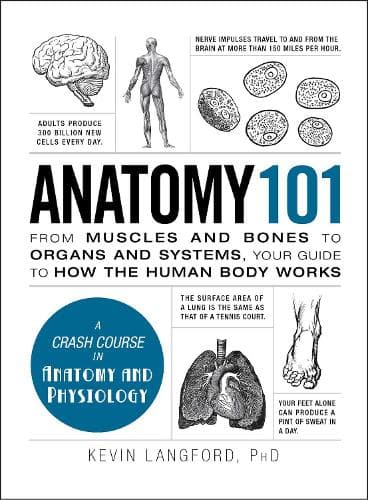 Cover of Anatomy 101