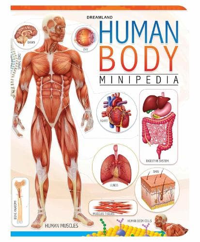 Cover of Human Body Minipedia