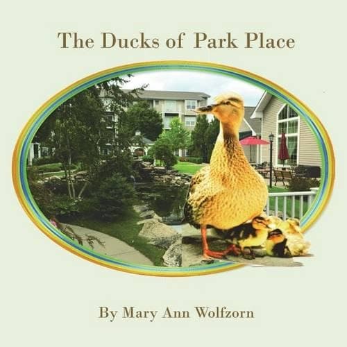 Cover of The Ducks of Park Place
