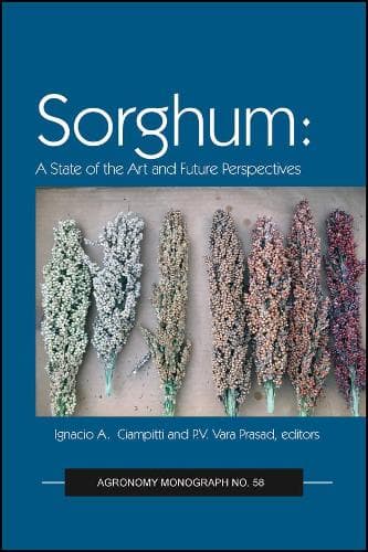 Cover of Sorghum