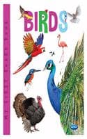 Cover of Navneet My First Board Book Series - Birds