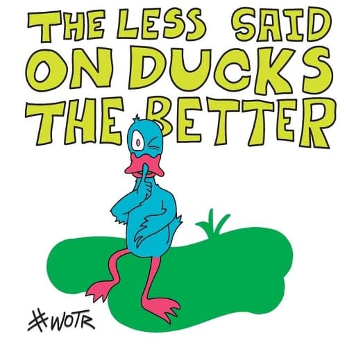 Cover of The Less Said on Ducks, the Better