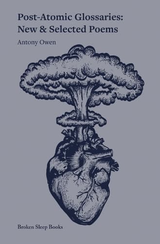 Cover of Post-Atomic Glossaries