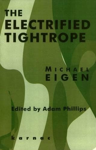 Cover of The Electrified Tightrope