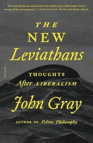 Cover of The New Leviathans