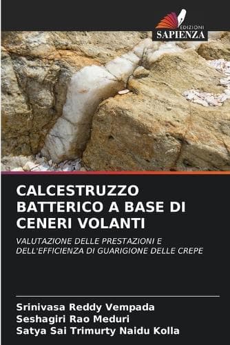 Cover of Calcestruzzo Batterico a Base Di Ceneri Volanti