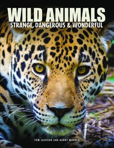 Cover of Wild Animals