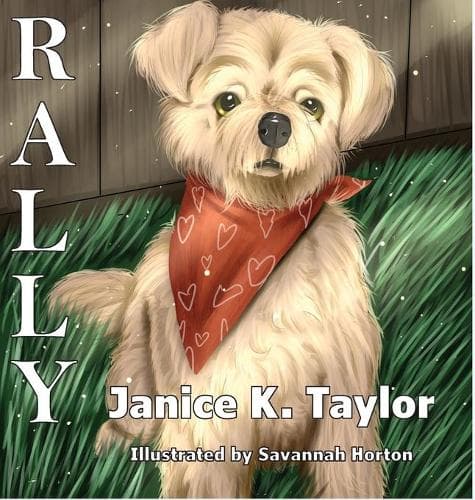 Cover of Rally