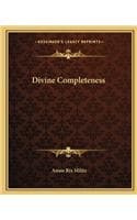 Cover of Divine Completeness