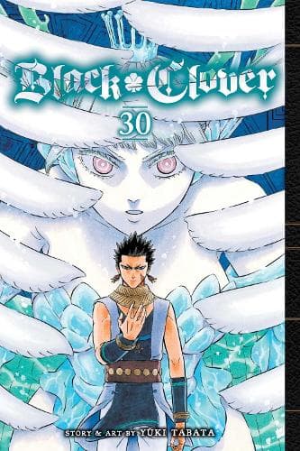 Cover of Black Clover, Vol. 30