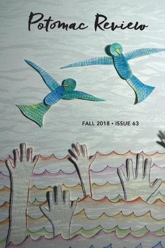 Cover of Potomac Review Issue 63