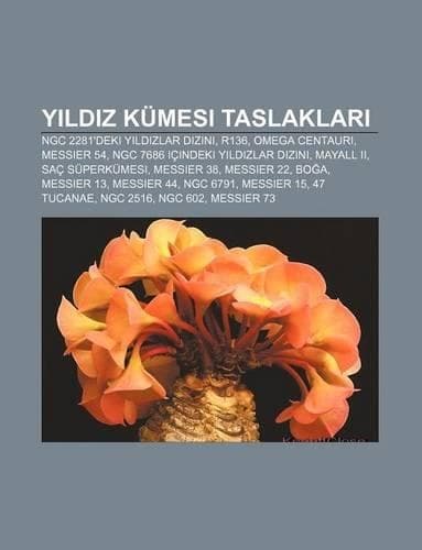 Cover of Y LD Z Kumesi Taslaklar