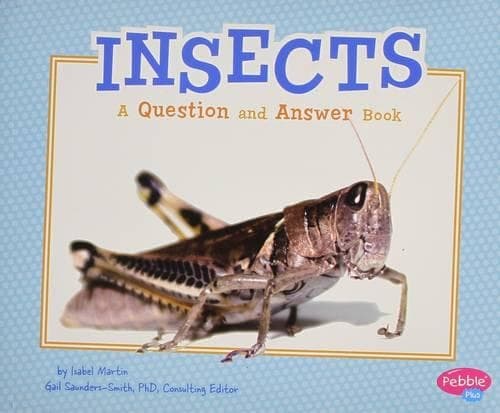 Cover of Animal Kingdom Questions and Answers Insects a Question and Answer Book