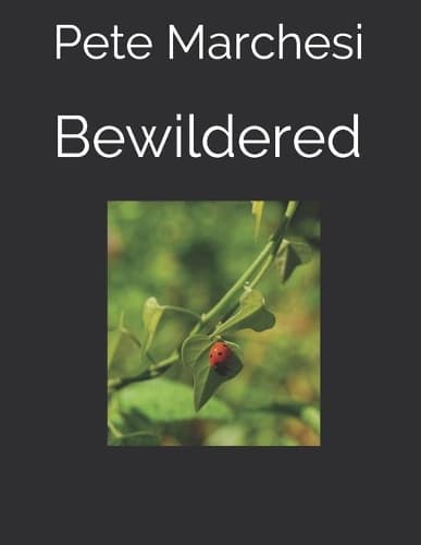Cover of Bewildered