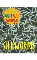 Cover of Silkworms