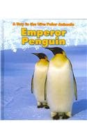 Cover of A Day in the Life: Polar Animals