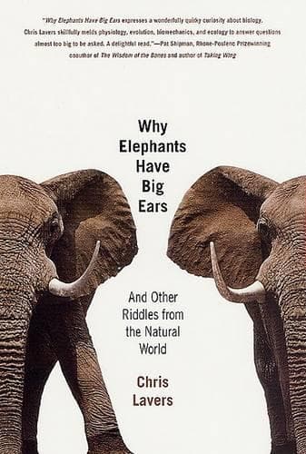 Cover of Why Elephants Have Big Ears