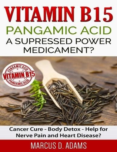 Cover of Vitamin B15 - Pangamic Acid: A Supressed Power Medicament?