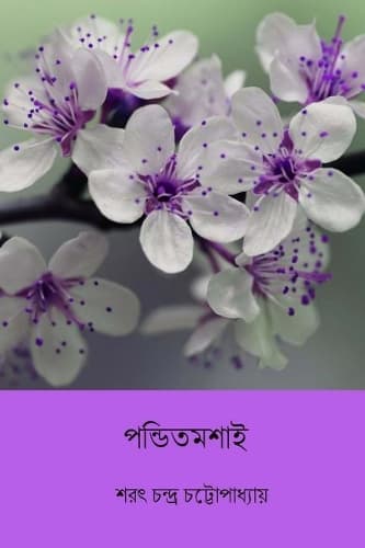 Cover of Panditmashai ( Bengali Edition )