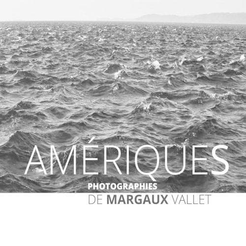 Cover of Ameriques