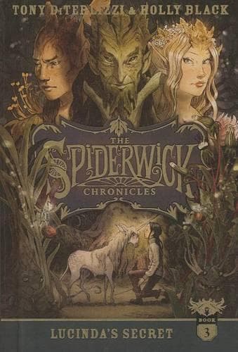 Cover of Lucinda's Secret