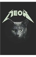 Cover of MEOW Rockstar Cat Rock N Roll Kitten Band