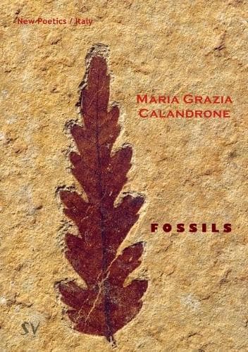 Cover of Fossils