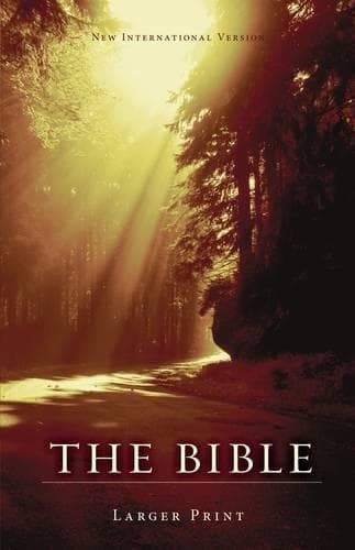 Cover of NIV Larger-Print Bible