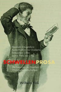 Cover of Schwellenprosa