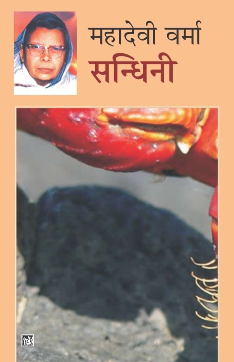 Cover of Sandhya Kakli