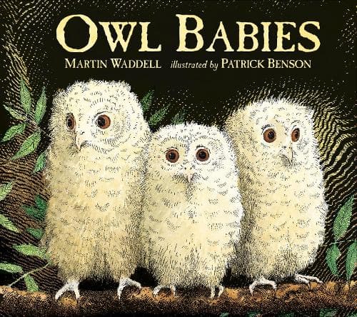 Cover of Owl Babies