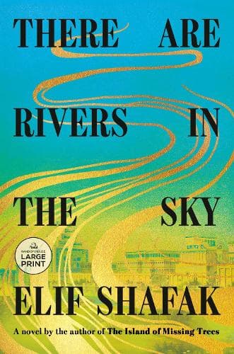 Cover of There Are Rivers in the Sky