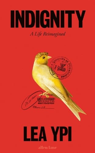 Cover of Indignity