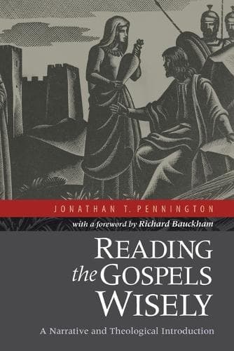 Cover of Reading the Gospels Wisely – A Narrative and Theological Introduction