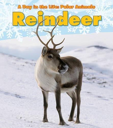 Cover of Day in the Life Polar Animals Reindeer: (Day in the Life: Polar Animals)