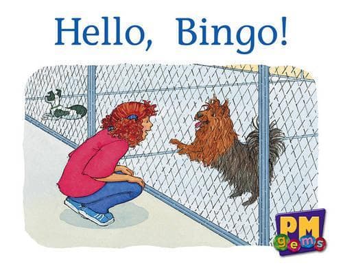 Cover of Hello, Bingo!