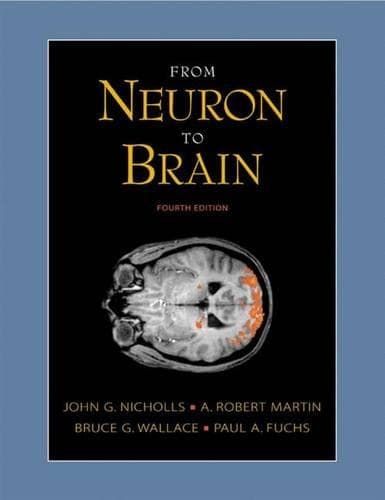 Cover of From Neuron to Brain