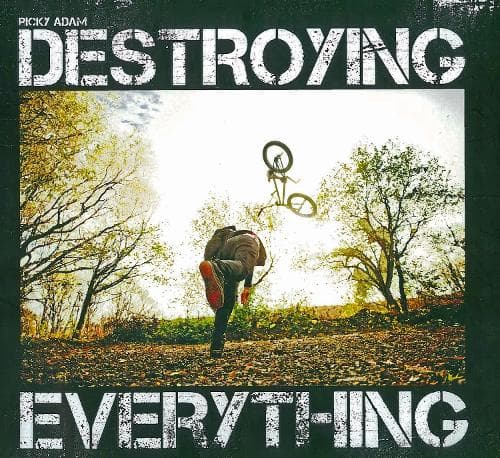 Cover of Destroying Everything