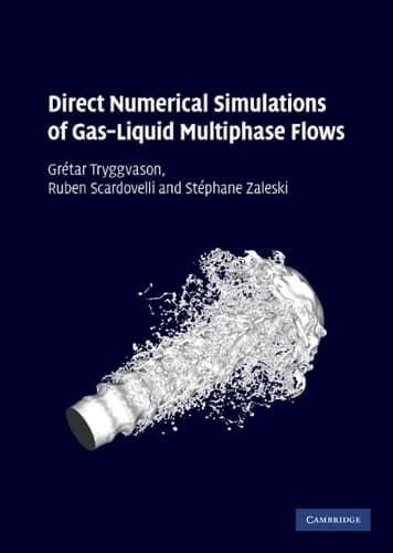 Cover of Direct Numerical Simulations of Gas–Liquid Multiphase Flows